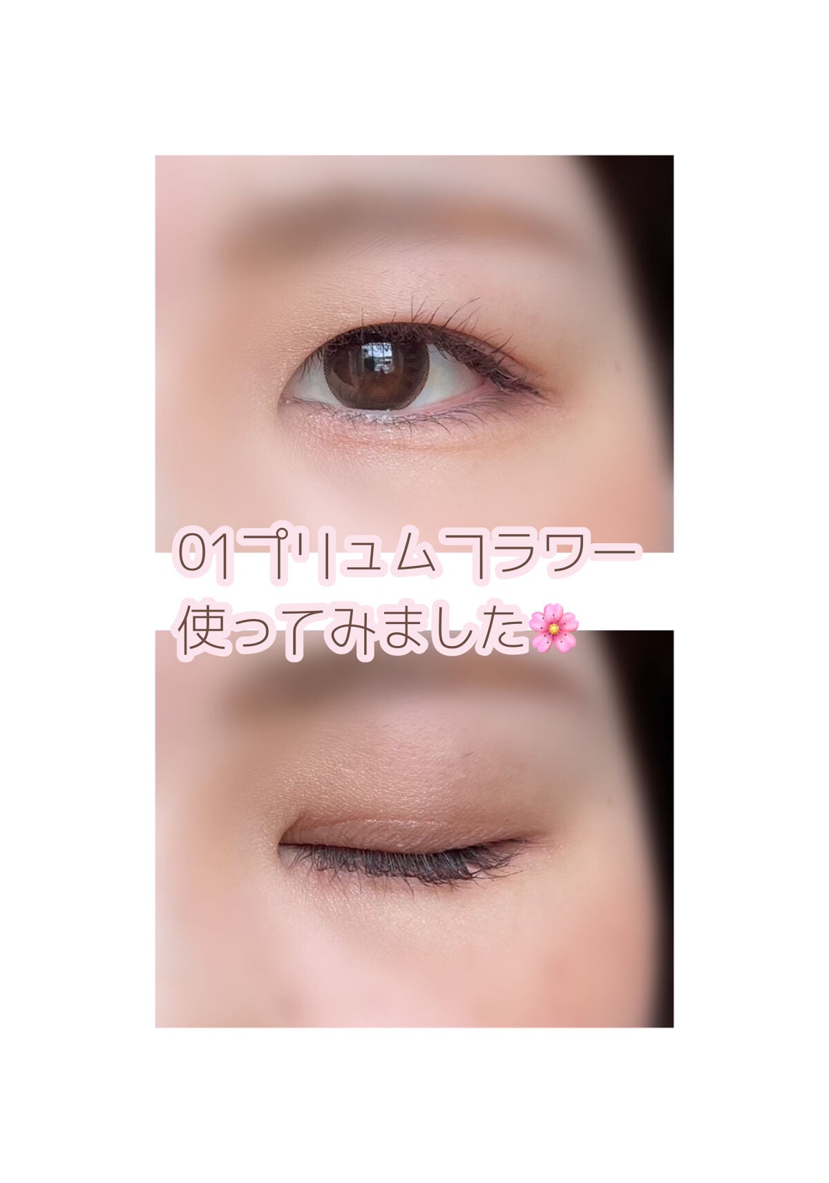 プティパレットアイズ/キャンメイク/パウダーアイシャドウを使ったクチコミ(8枚目)