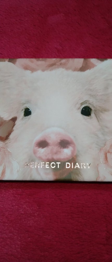 エクスプローラ12色 動物アイシャドウパレット/PERFECT DIARY/アイシャドウパレットを使ったクチコミ(1枚目)