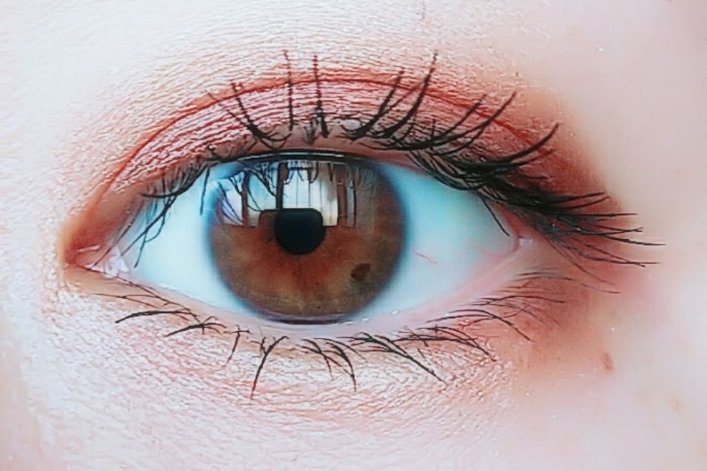 トーンアップアイシャドウ/CEZANNE/アイシャドウパレットを使ったクチコミ(1枚目)