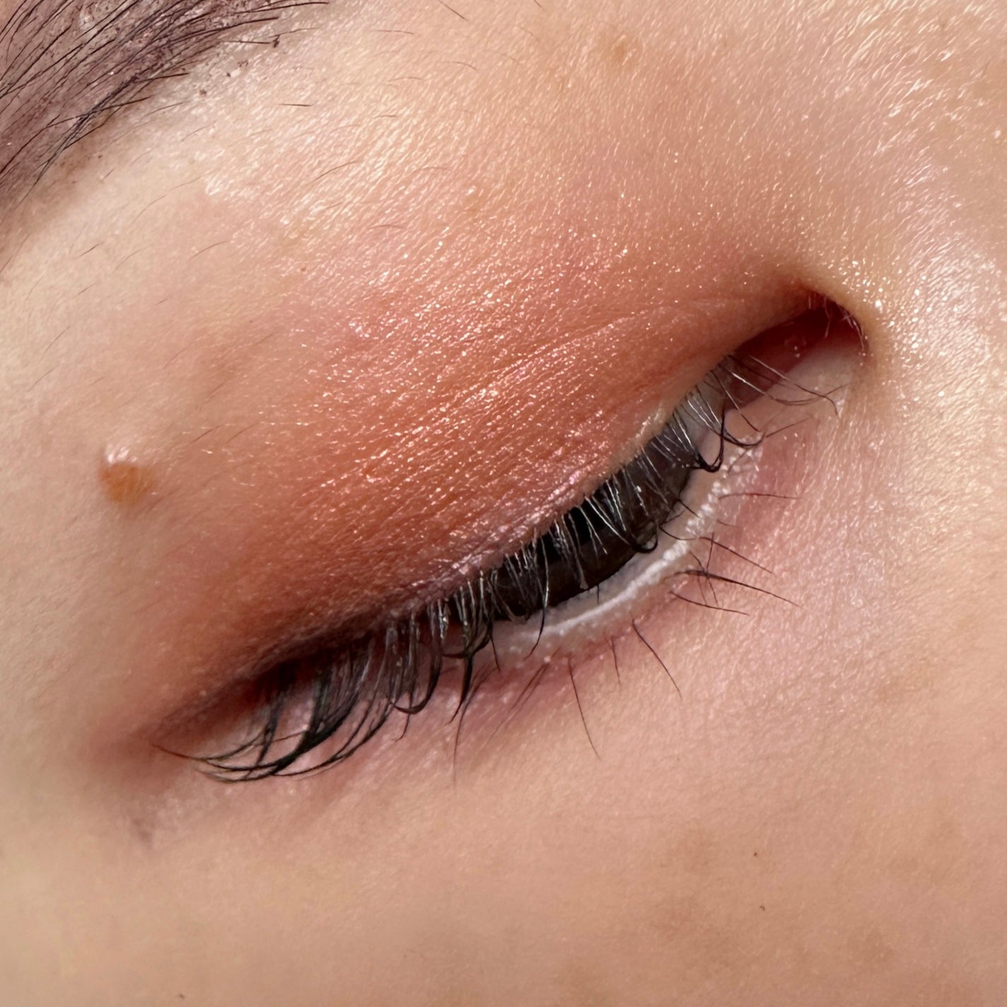 Eyeshadow 5 Colour Compacts/BYREDO/アイシャドウパレットを使ったクチコミ(4枚目)