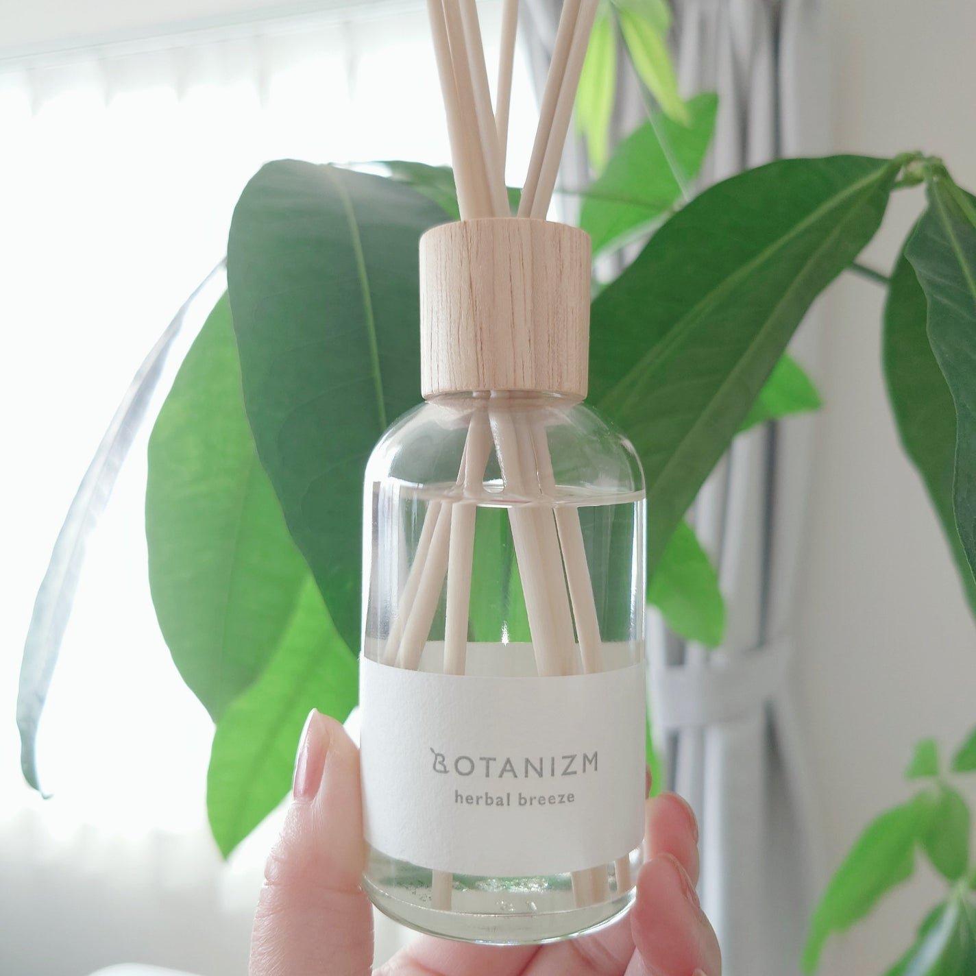 リードディフューザー ハーバルブリーズ/ボタニズム /香水(その他)を使ったクチコミ(4枚目)
