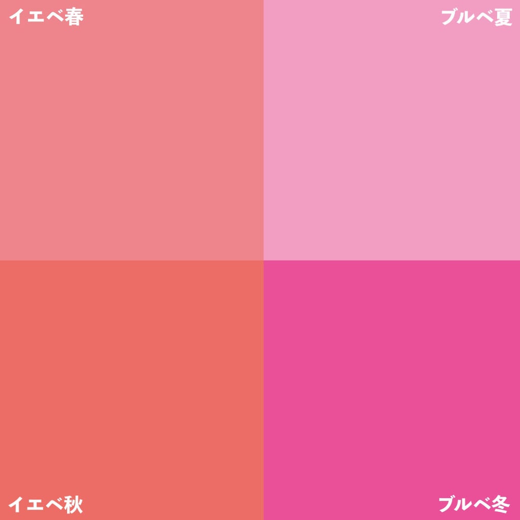 パーソナルカラー診断/Visée/その他を使ったクチコミ(3枚目)