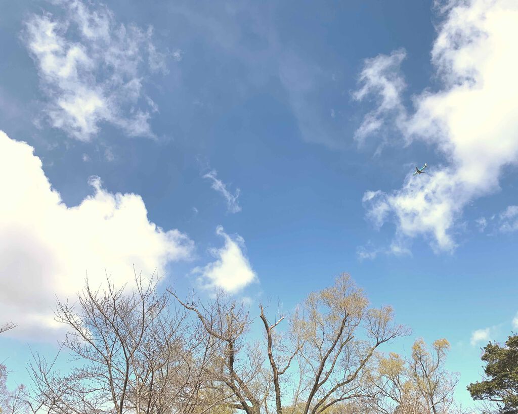 ハトムギ化粧水(ナチュリエ スキンコンディショナー R )/ナチュリエ/化粧水を使ったクチコミ（1枚目）