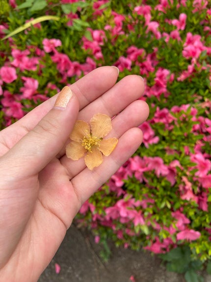 ネイルホリック フローズンシュガー/ネイルホリック/マニキュアを使ったクチコミ(2枚目)