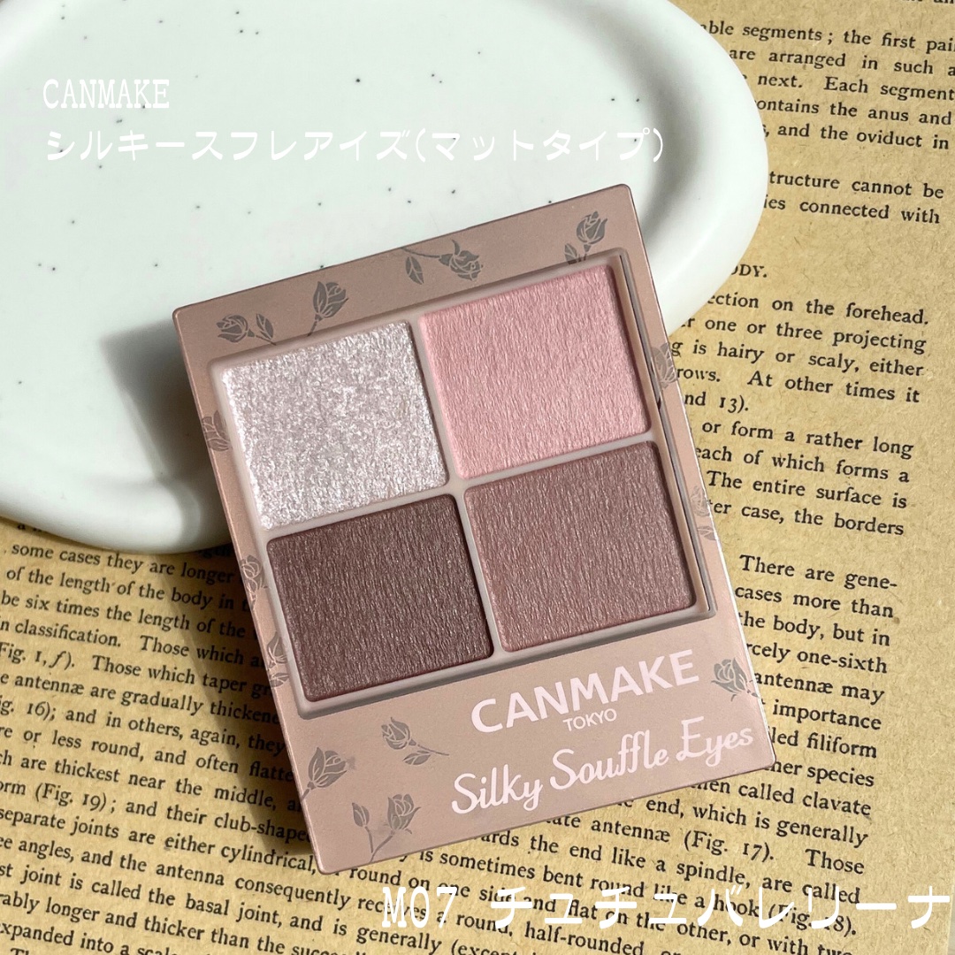 シルキースフレアイズ（マットタイプ）/キャンメイク/アイシャドウパレットを使ったクチコミ（2枚目）
