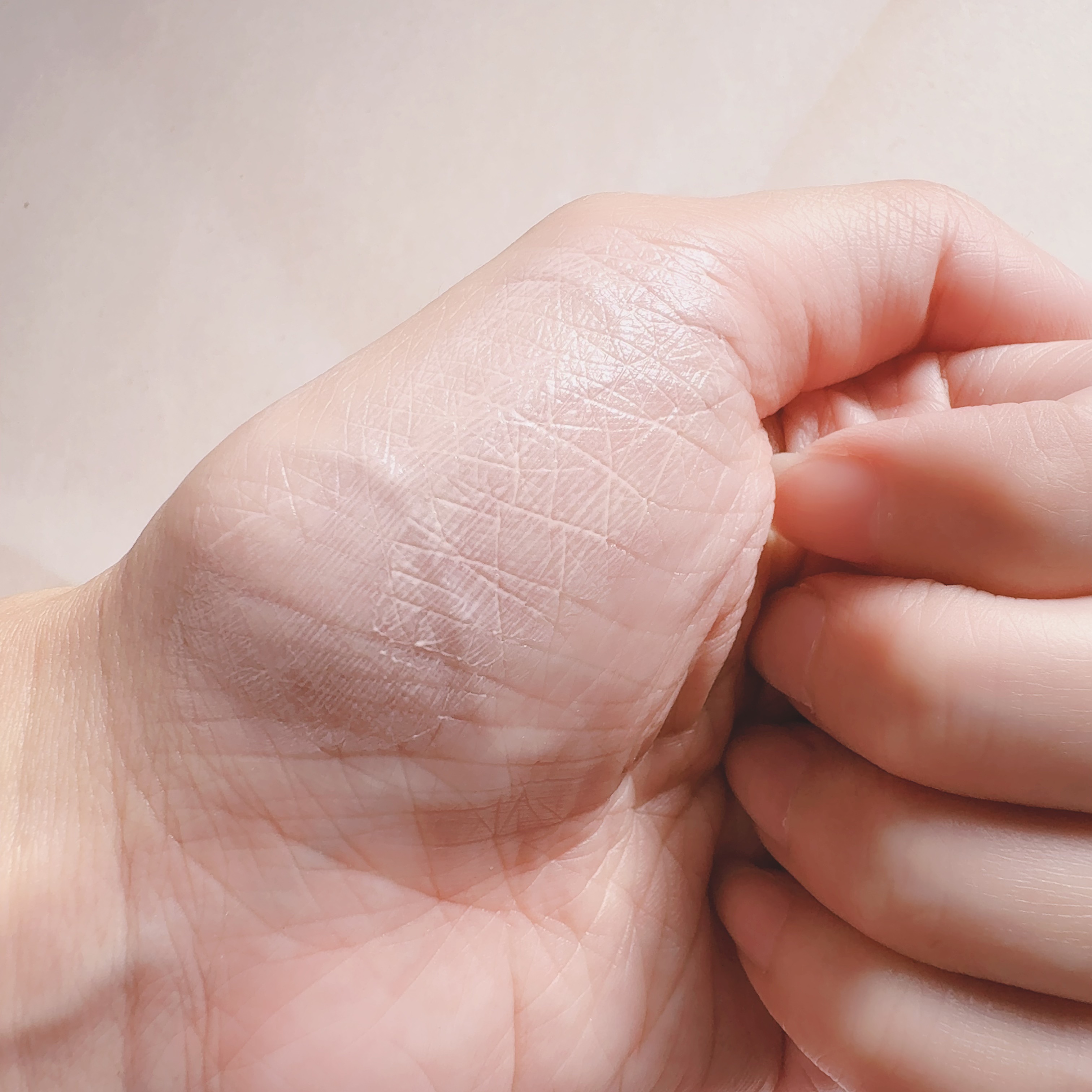 ミネラルインナートリートメントベース ピンクベージュ/エトヴォス/化粧下地を使ったクチコミ（3枚目）