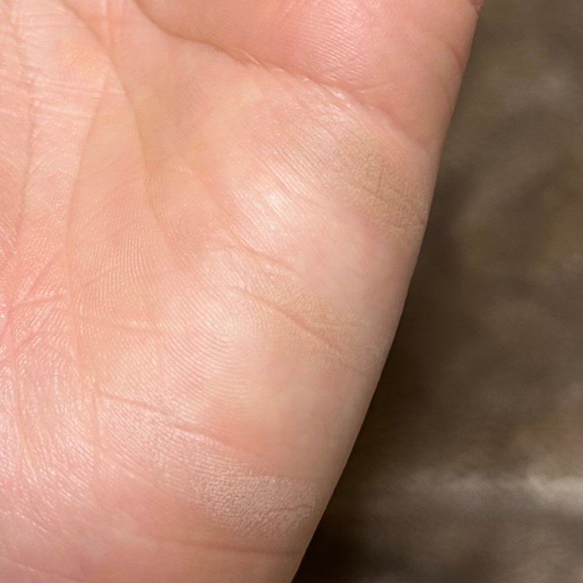 アートクラスバイロダン シェーディング/too cool for school/シェーディングを使ったクチコミ(2枚目)