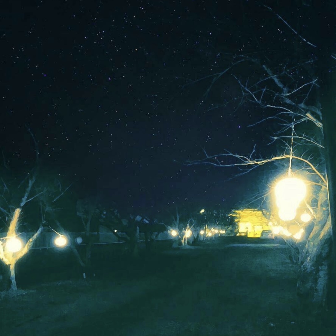  オードトワレ アンダー ザ スターズ/Maison Margiela/香水(メンズ)を使ったクチコミ（3枚目）