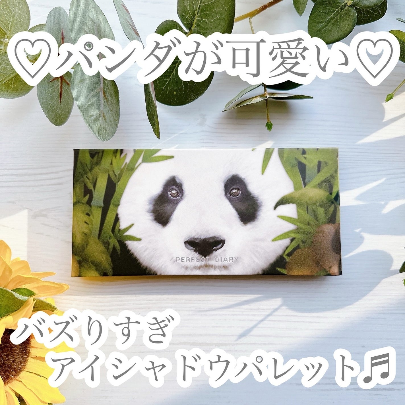 エクスプローラ12色 動物アイシャドウパレット/PERFECT DIARY/アイシャドウパレットを使ったクチコミ(1枚目)