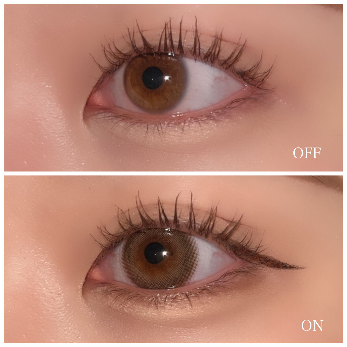 feliamo 1day  アフォガード/feliamo/ワンデー（１DAY）カラコンを使ったクチコミ（3枚目）