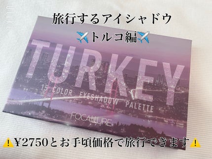GO TRAVEL 15色アイシャドウパレット/FOCALLURE/アイシャドウパレットを使ったクチコミ(1枚目)