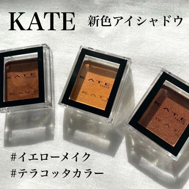 お洒落な色味で発色も良くて密着力凄い…🙌🏻


KATE ザ アイカラー 
価格 715円（税込）

┈┈┈┈┈┈┈┈┈┈┈┈┈┈┈┈┈┈┈┈


▷049 テラコッタブラウン ＜パール＞

→The 