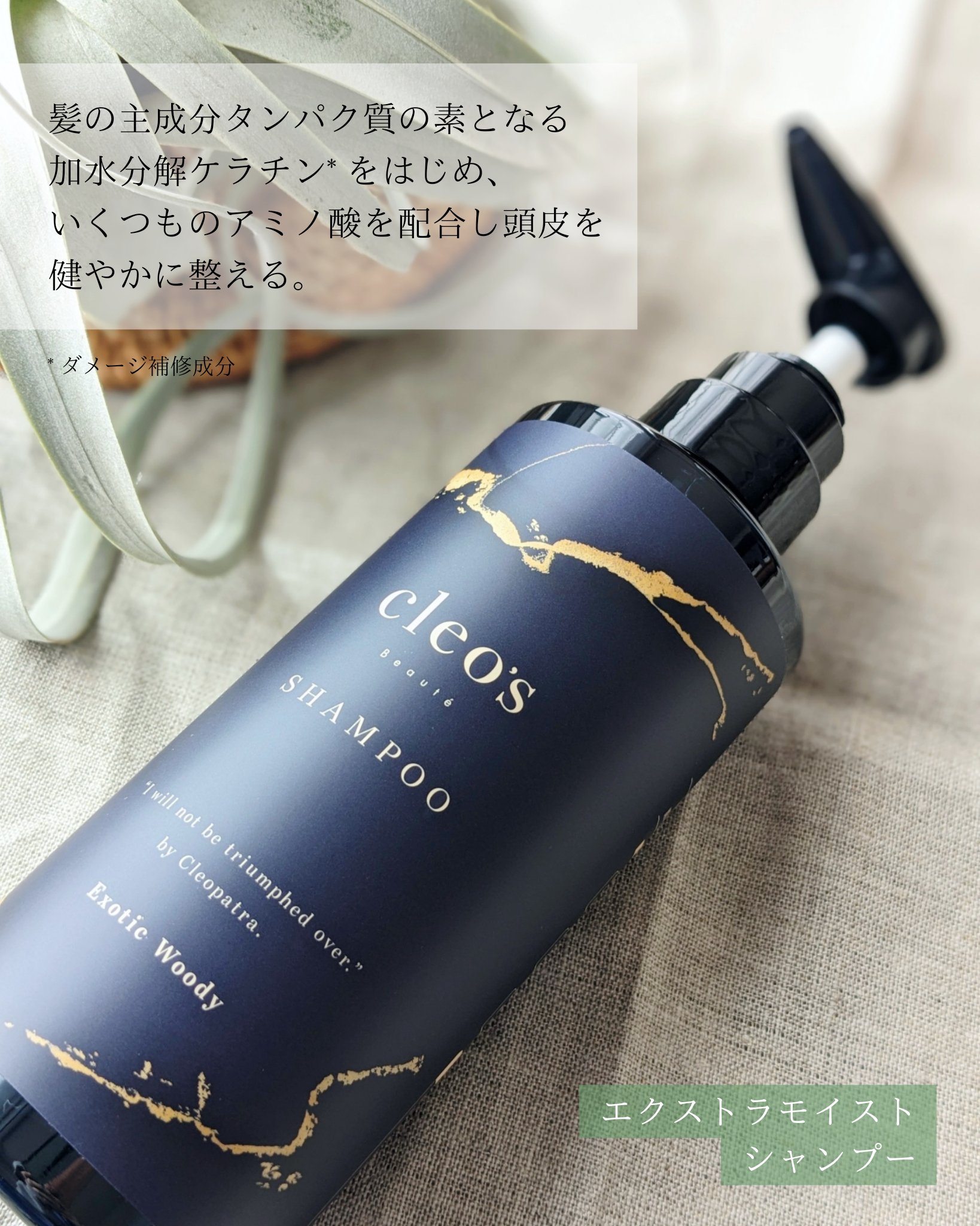 エクストラモイストシャンプー＆リペアトリートメント セット/Cleo's Beauté/市販シャンプーを使ったクチコミ（2枚目）