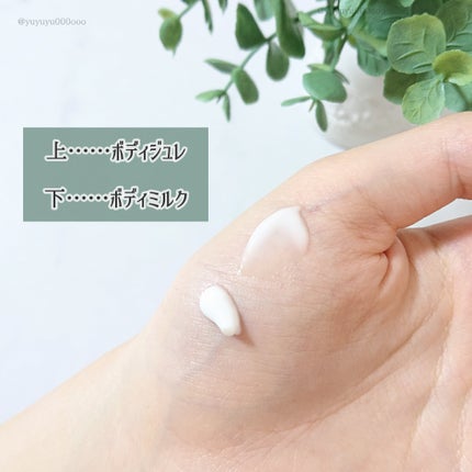 シルキーボディミルク/SABON/ボディミルクを使ったクチコミ(3枚目)