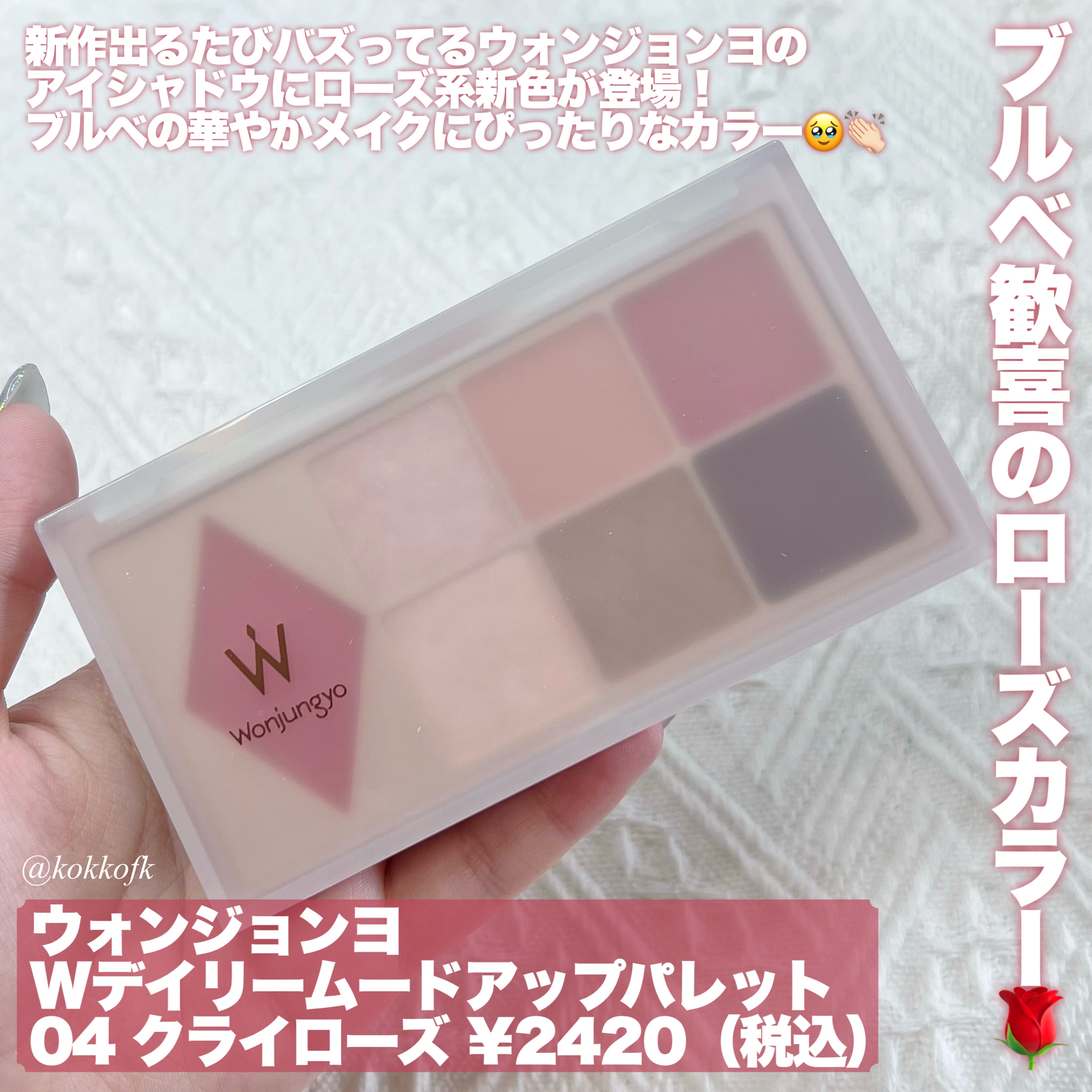 ウォンジョンヨ Ｗ デイリームードアップパレット /Wonjungyo/アイシャドウパレットを使ったクチコミ（2枚目）