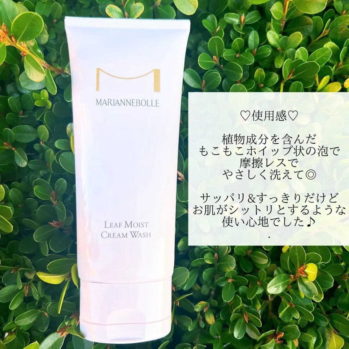 リーフモイストクリームウォッシュ /マリアンボレ/洗顔フォームを使ったクチコミ(4枚目)