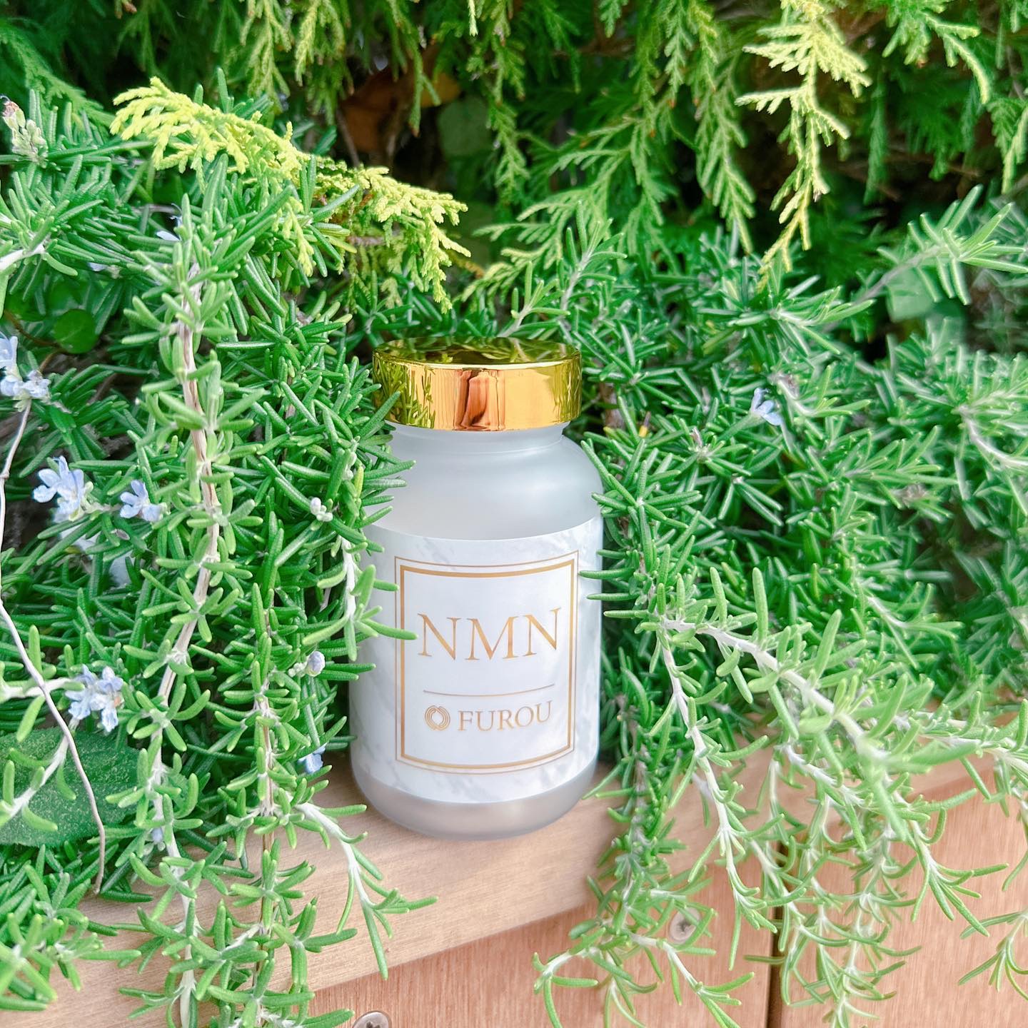 愛用中💖
NMNサプリ

美容で注目されている話題のNMN
FUROU NMN 19,800円

国内製造、高純度99.9％✨

クリニック医療はだけでは足りない
プラスして、内側美容も大事だったり🤭

NMNとは？
β －ニコチンアミ