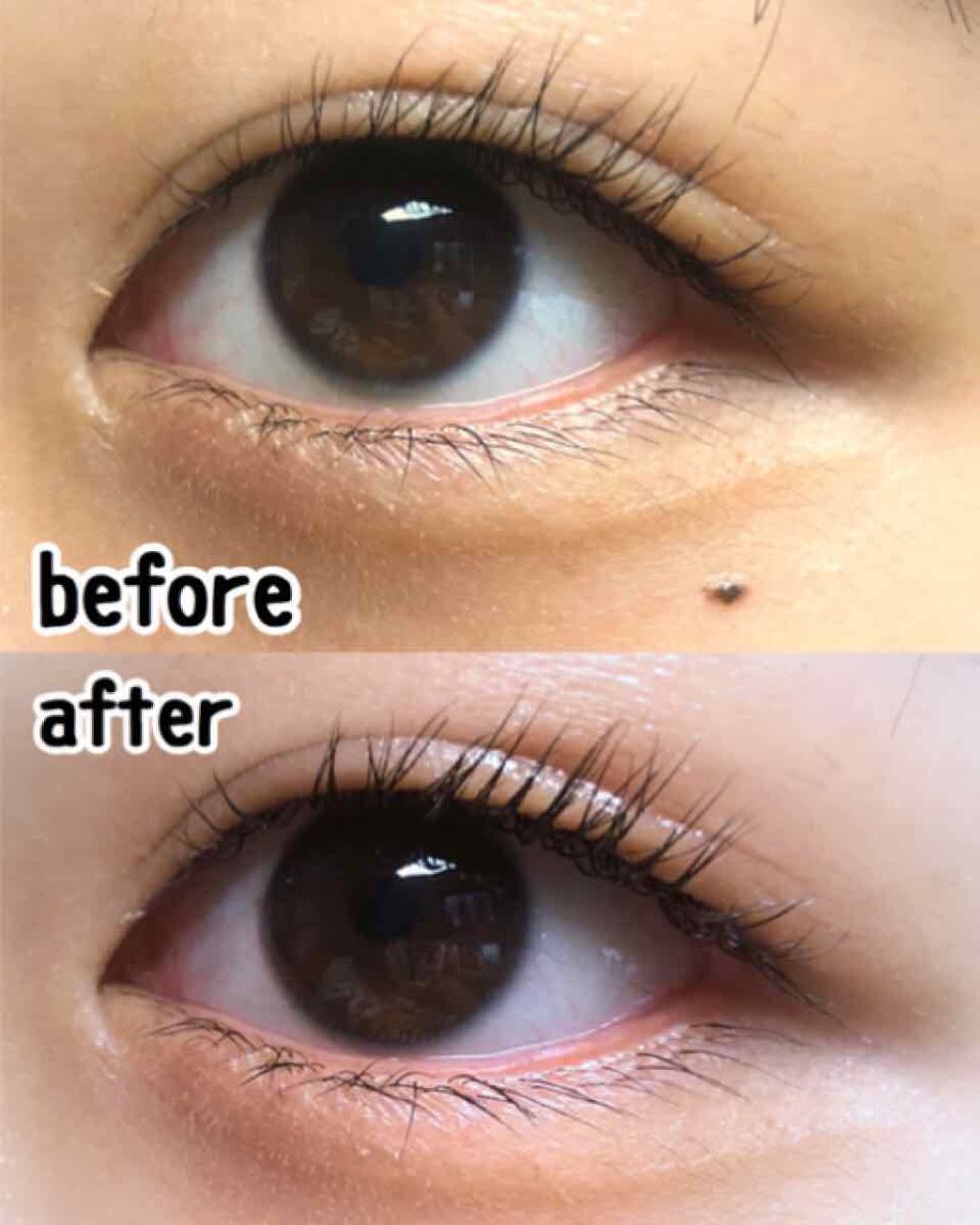 クイックラッシュカーラー/キャンメイク/マスカラ下地を使ったクチコミ(2枚目)