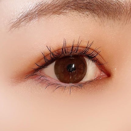 プロアイシャドウパレットセシル/CELEFIT/アイシャドウパレットを使ったクチコミ(2枚目)