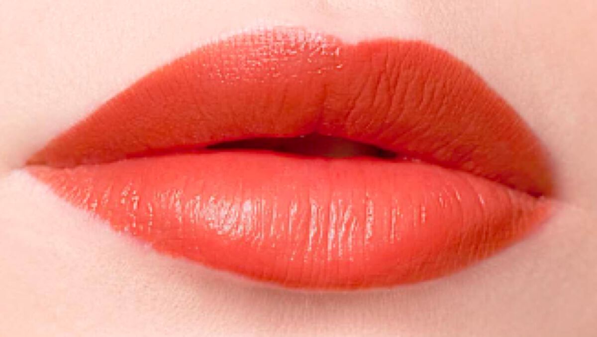 ラスティングフィニッシュ クリーミィ リップ 022