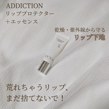 リッププロテクター ＋ エッセンス/ADDICTION/リップケア・リップクリームを使ったクチコミ（1枚目）