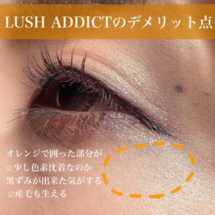 ラッシュアディクト アイラッシュコンディショニングセラム/soaddicted/まつげ美容液を使ったクチコミ(2枚目)