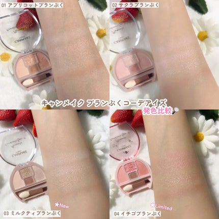 プランぷくコーデアイズ/キャンメイク/パウダーアイシャドウを使ったクチコミ(4枚目)