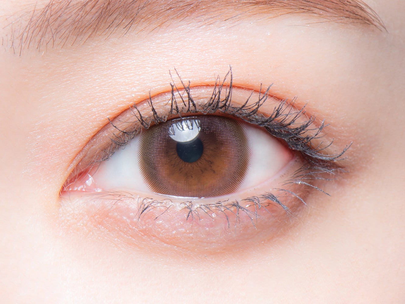 melotte 1day ロマンティックローズ