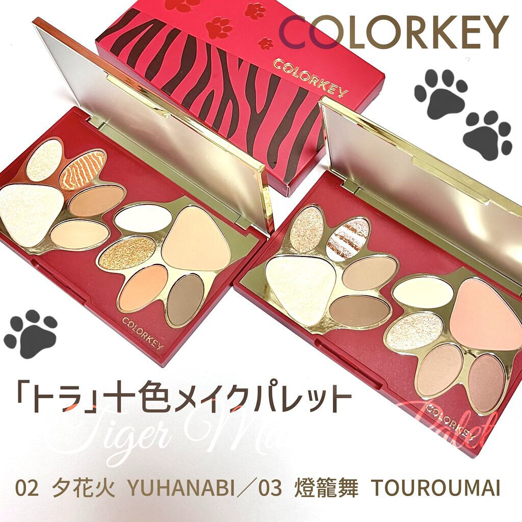 トラ十色アイシャドウパレット/COLORKEY/アイシャドウパレットを使ったクチコミ（1枚目）