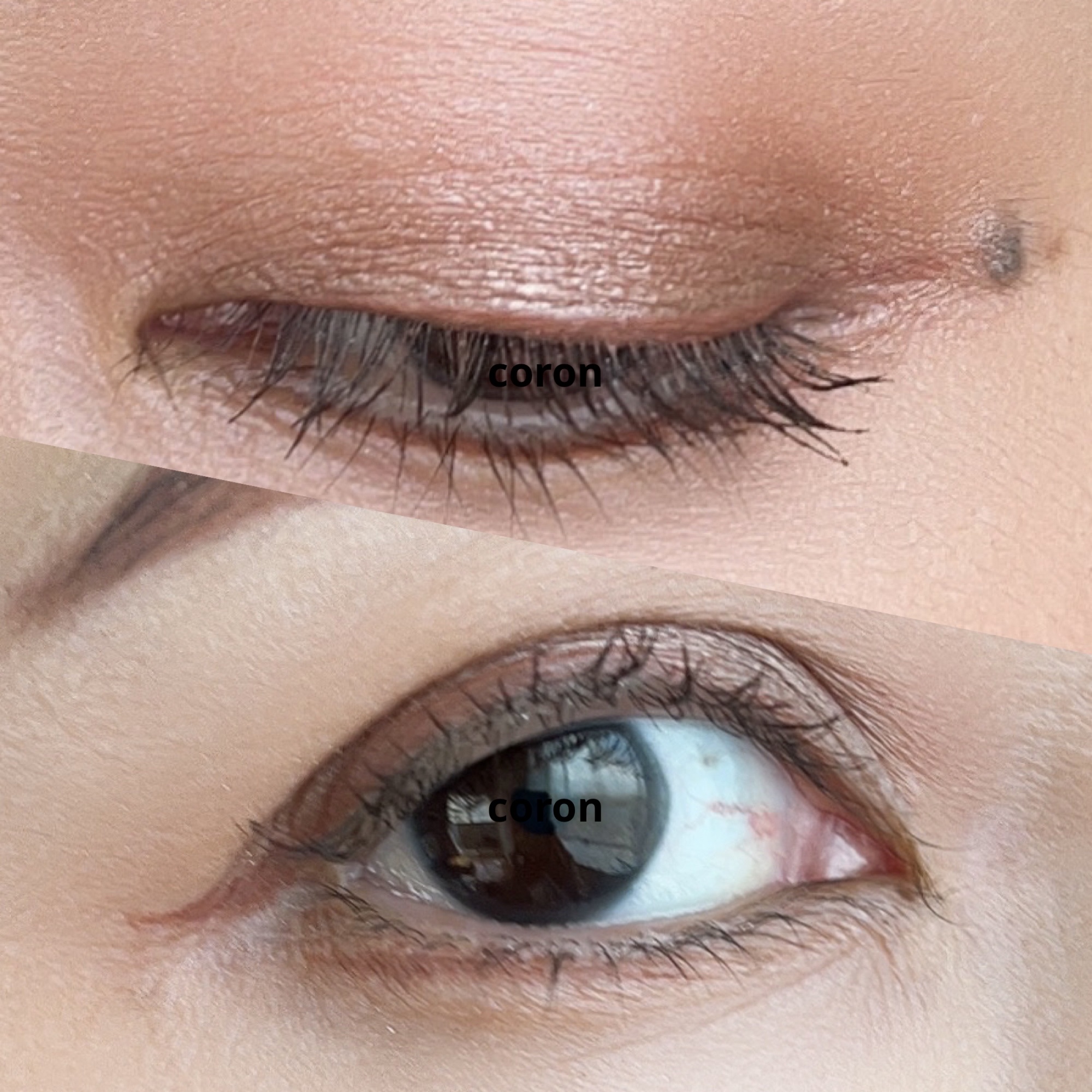 ジルスチュアート ムースブロウマスカラ/JILL STUART/眉マスカラを使ったクチコミ（2枚目）