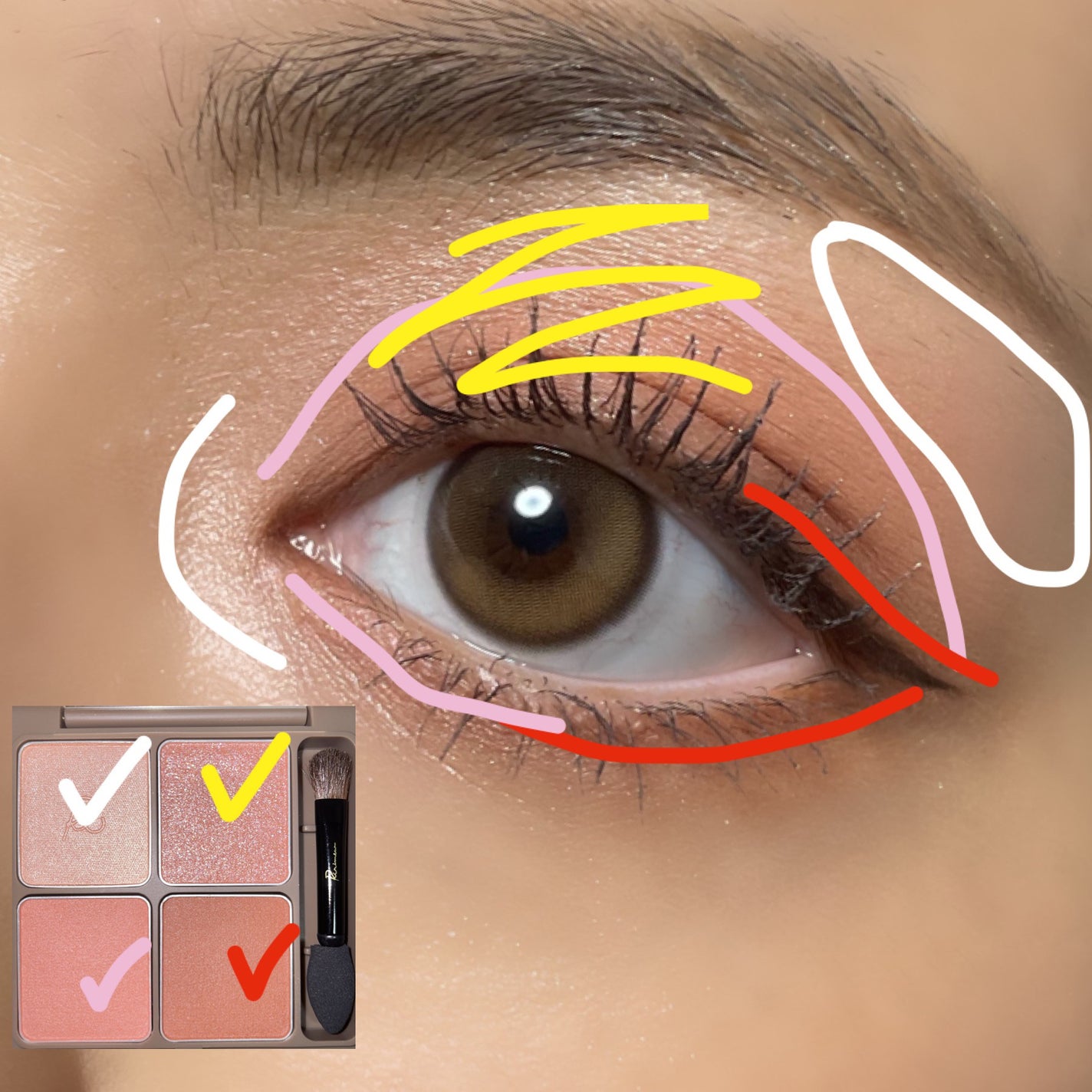 インザミラーアイパレット/Ririmew/アイシャドウパレットを使ったクチコミ(6枚目)