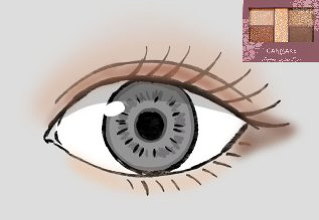 パーフェクトスタイリストアイズ/キャンメイク/アイシャドウパレットを使ったクチコミ(3枚目)