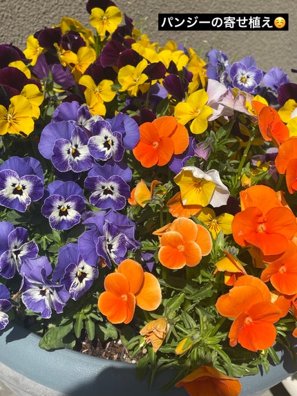 ショコラスウィート アイズ/リンメル ロンドン/アイシャドウパレットを使ったクチコミ(6枚目)