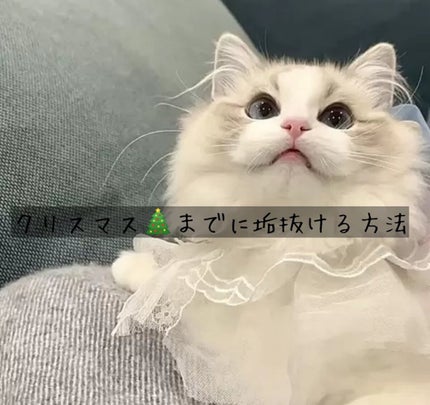 プロ アイ パレット/CLIO/アイシャドウパレットを使ったクチコミ(1枚目)