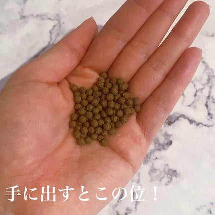 ヘドンスリムファンPlus/JAMAJA/ボディサプリメントを使ったクチコミ(5枚目)