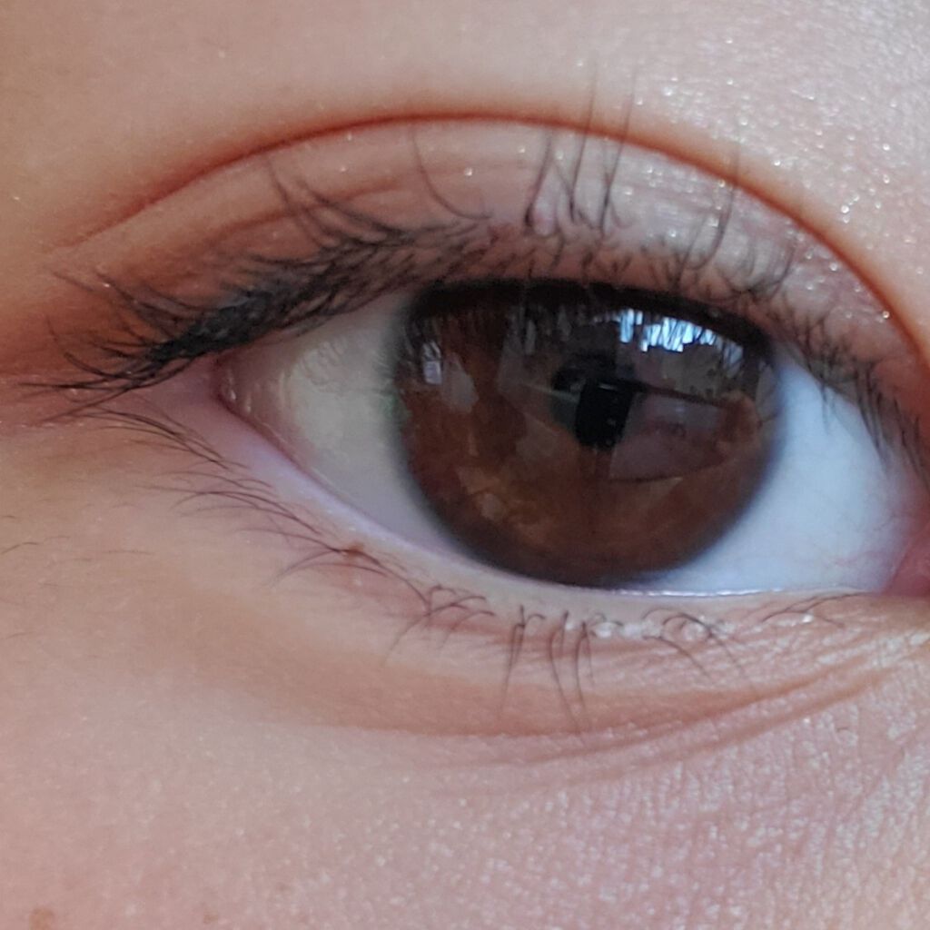 シルキースフレアイズ/キャンメイク/アイシャドウパレットを使ったクチコミ（2枚目）