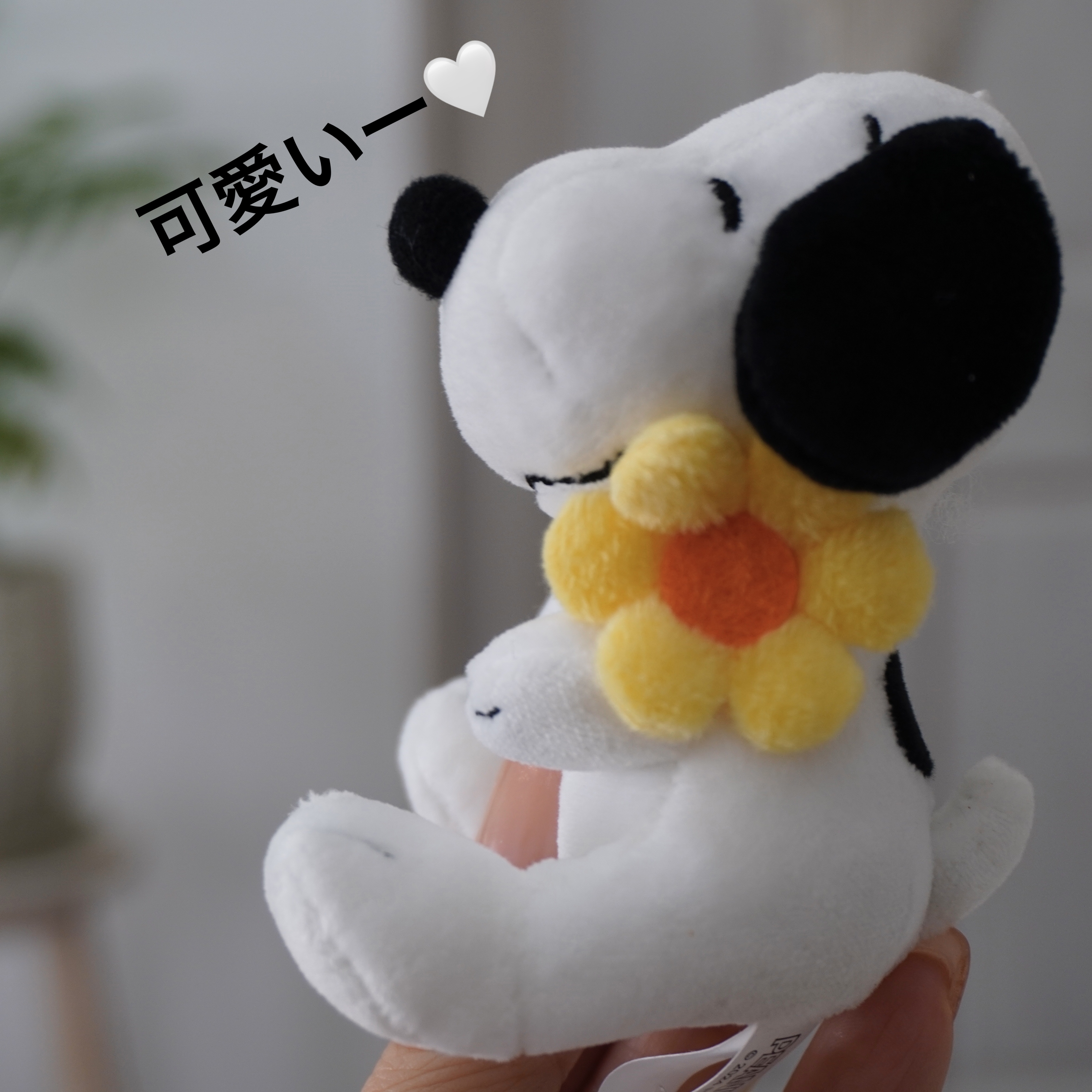 ドクダミ 77 スージングトナー/Anua/化粧水を使ったクチコミ（2枚目）