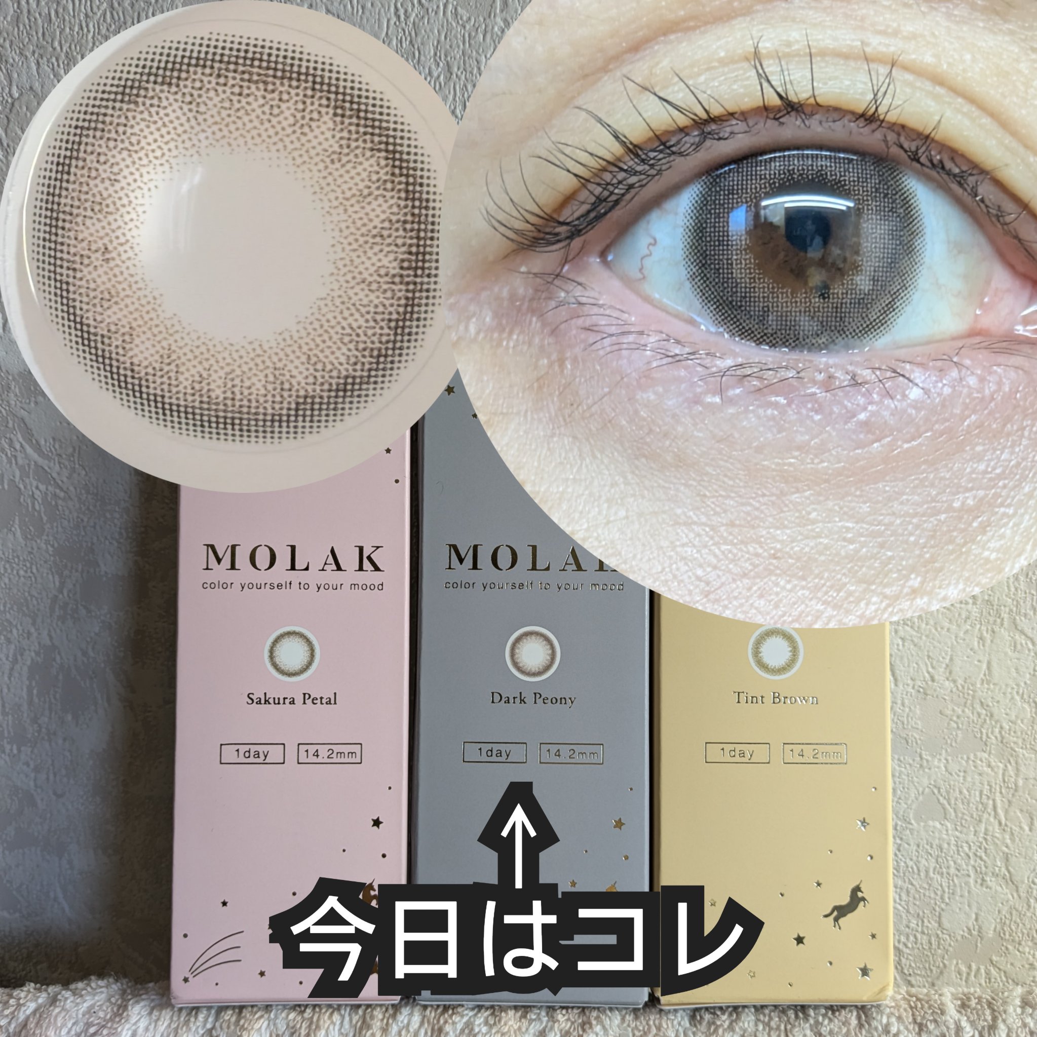 MOLAK 1day ダークピオニー/MOLAK/ワンデー（１DAY）カラコンを使ったクチコミ（1枚目）