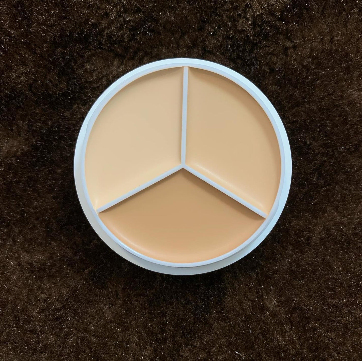 カバーアッププロコンシーラー/TFIT/パレットコンシーラーを使ったクチコミ(3枚目)