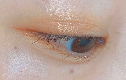 アイプランナー/excel/単色アイシャドウを使ったクチコミ(2枚目)