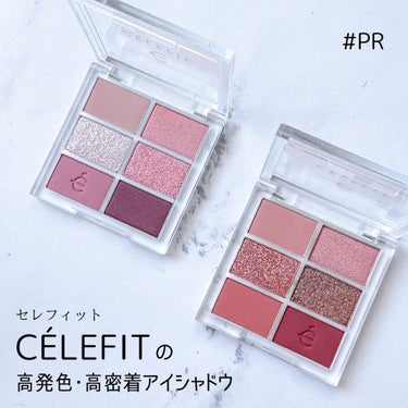 プロアイシャドウパレットセシル/CELEFIT/アイシャドウパレットを使ったクチコミ（1枚目）