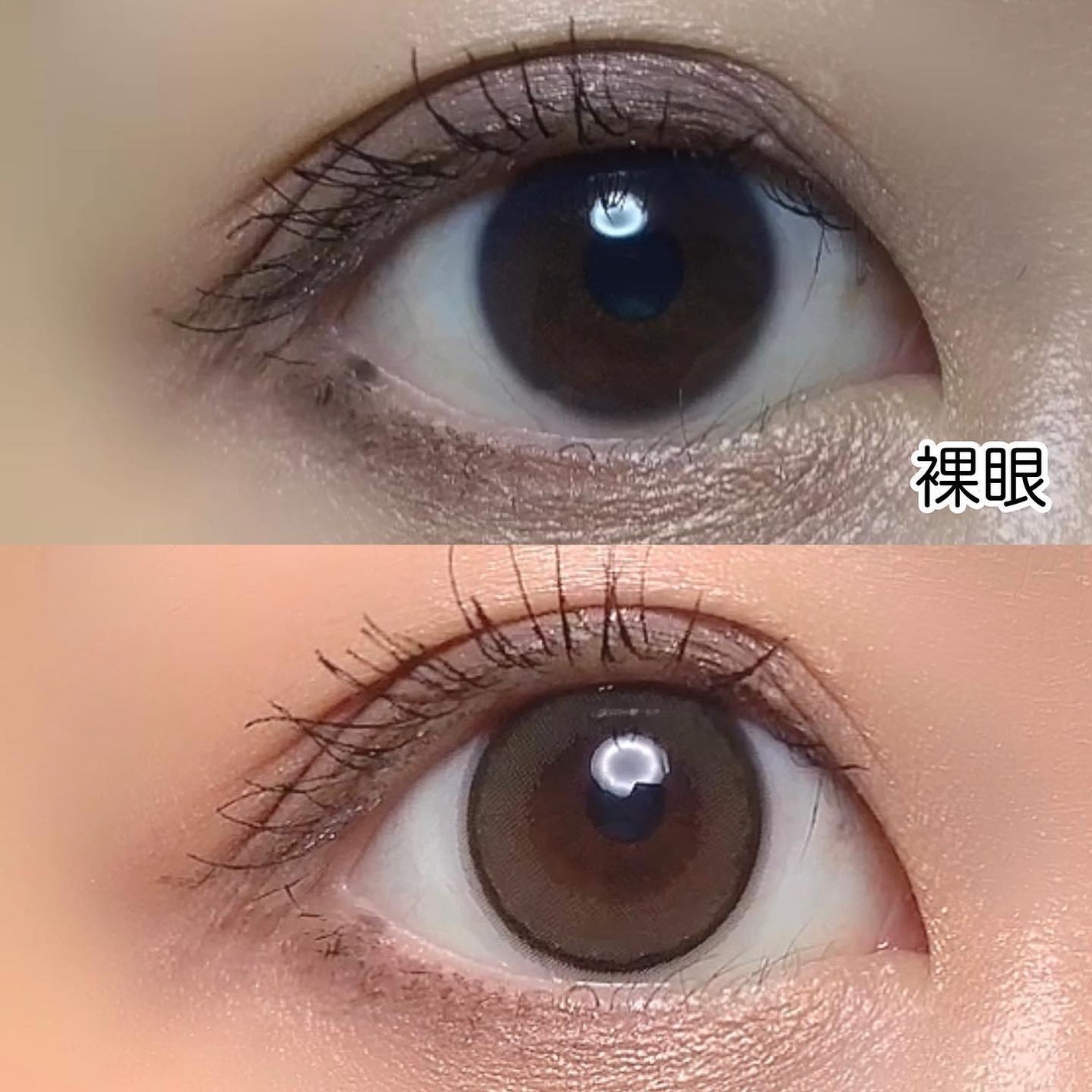 エバーカラーワンデーミリモア/エバーカラー/ワンデー(1DAY)カラコンを使ったクチコミ(3枚目)