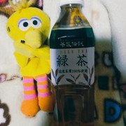 茶匠伝説 緑茶/ハルナプロデュース/ドリンクを使ったクチコミ（1枚目）