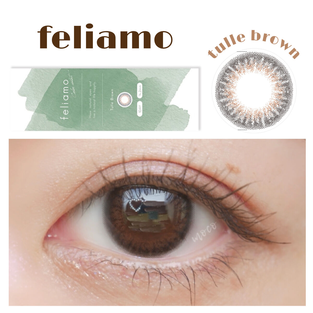 feliamo 1day チュールブラウン/feliamo/ワンデー（１DAY）カラコンを使ったクチコミ（1枚目）