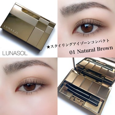 スタイリングアイゾーンコンパクト 01 Natural Brown/LUNASOL/パウダーアイシャドウを使ったクチコミ（1枚目）