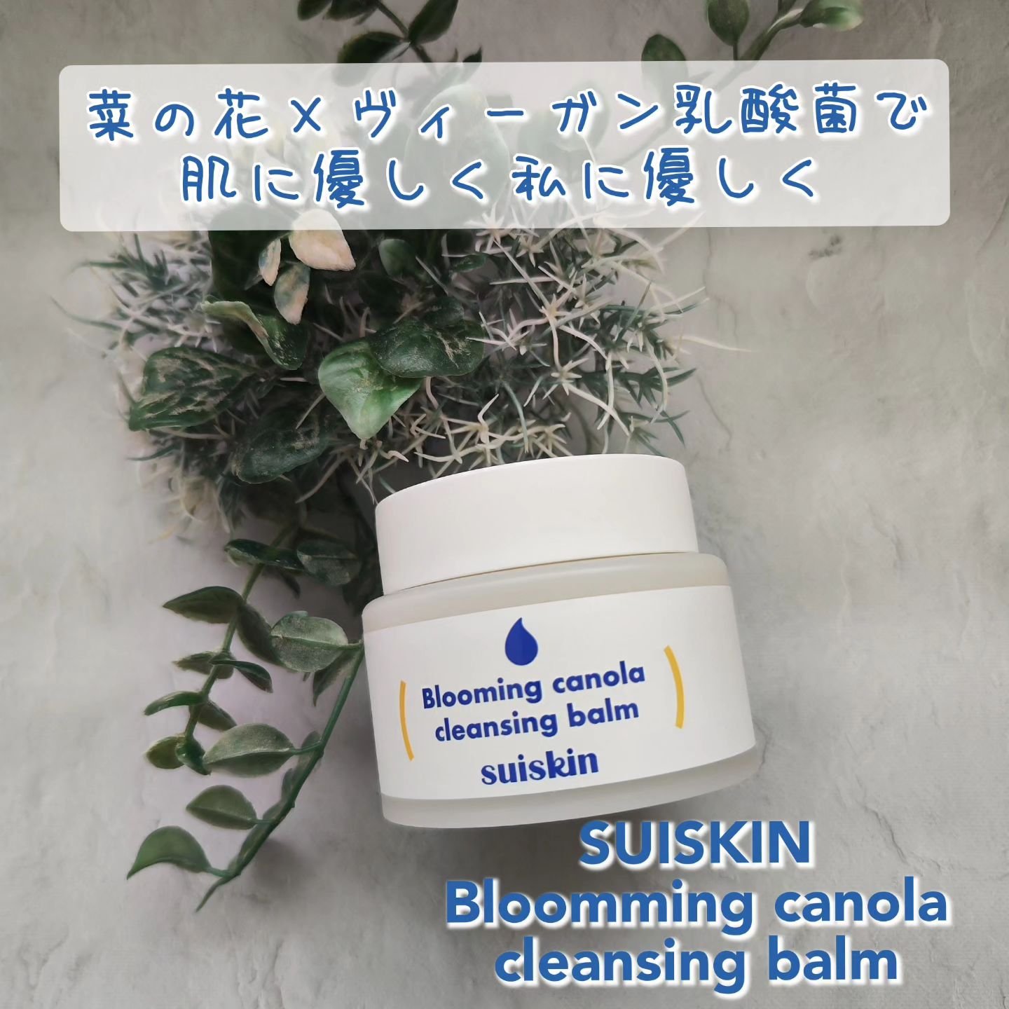 Blooming canola cleansing balm/suiskin/クレンジングバームを使ったクチコミ（1枚目）