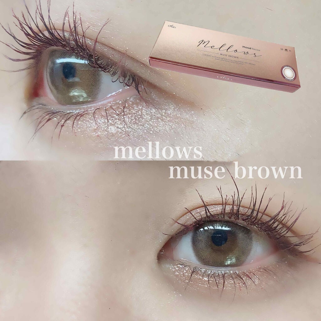 メローズワンデーミューズブラウン(Mellows 1day Muse Brown)/OLOLA/ワンデー(1DAY)カラコンを使ったクチコミ(1枚目)
