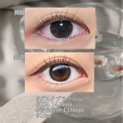 Secretive Kristen 1day/Hapa kristin/ワンデー(1DAY)カラコンを使ったクチコミ(2枚目)