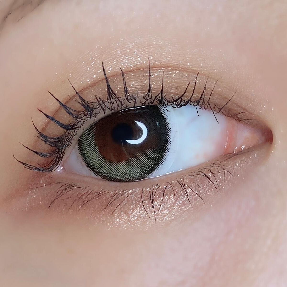 Secretive Kristen 1day/Hapa kristin/ワンデー(1DAY)カラコンを使ったクチコミ(4枚目)