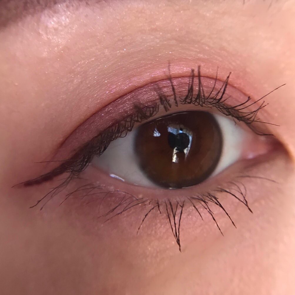 アイカラーレーション/LUNASOL/アイシャドウパレットを使ったクチコミ（2枚目）